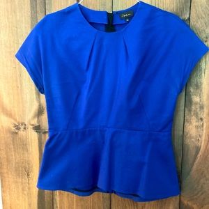 Royal Blue Babaton Blouse w/ Zipper from Aritzia